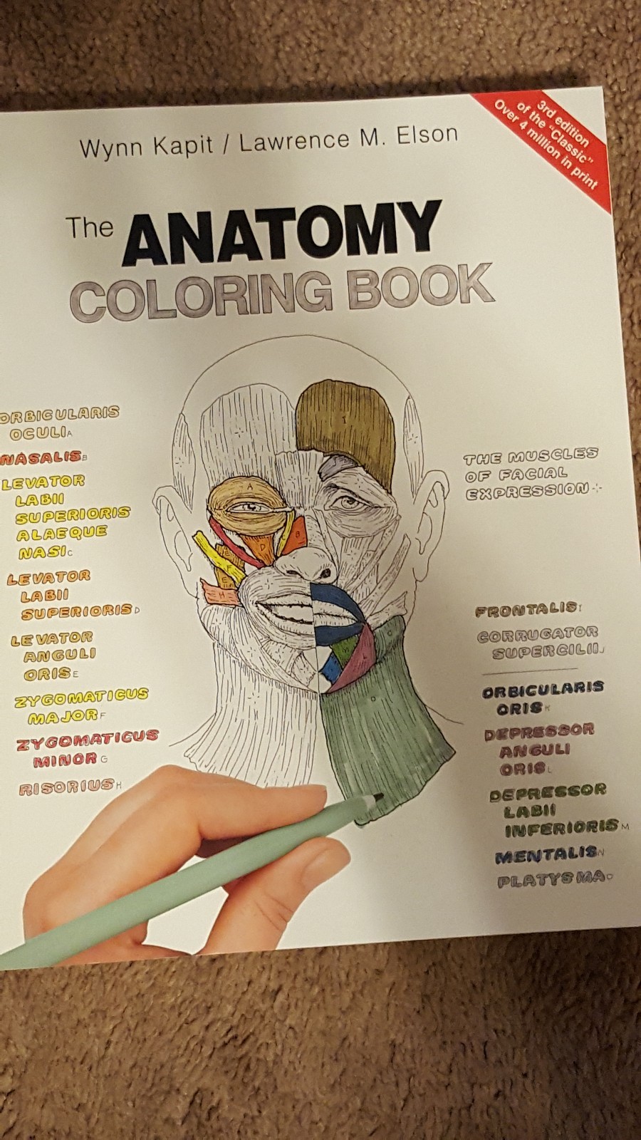 Booktopia The Anatomy Coloring Book By Wynn KapitBooktopia Pearson NewAnatomy 4 Kapit Lawrence MThe