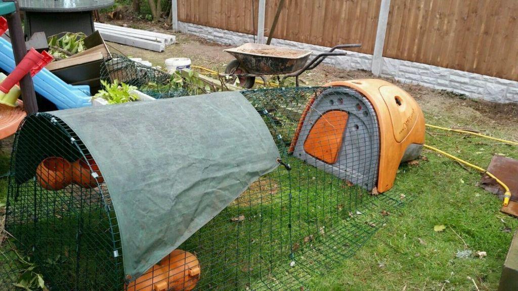  classic chicken coop orange and 12m net | United Kingdom | Gumtree