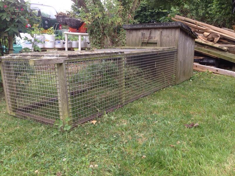 Duck / chicken run | United Kingdom | Gumtree