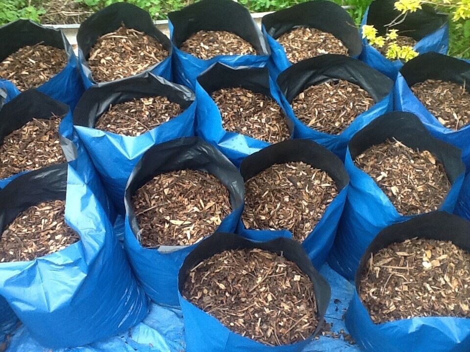 ... /Woodchip/mulch/bark/garden chippings/ chickens / coop/ delivered
