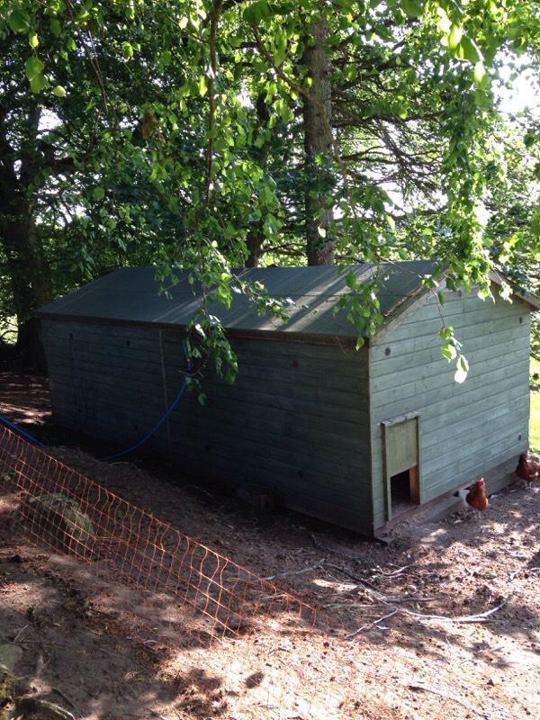 All Con: Gumtree garden shed