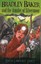 Bradley Baker and the Amulet of Silvermoor (Amazing Adventures of...