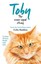 CELIA HADDON ___ TOBY THE CROSS-EYED STRAY __ BRAND NEW __ FREEPOST UK
