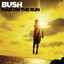 Man on the Run von Bush | CD | neu