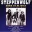 Born to Be Wild & Hits Steppenwolf CD