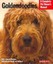 Goldendoodles by Edie Mackenzie, Jane Edith Lumsden (Paperback, 2009)