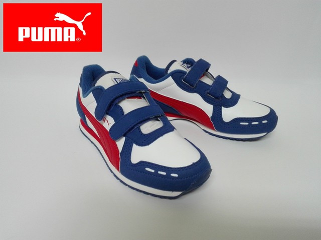 puma niño 31 puma niño 31
