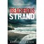 Treacherous Strand (Inishowen Mysteries) Andrea Carter