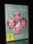 DVD GOLDEN GIRLS - STAFFEL 4 - BOX-SET - TV-SERIE - SEASON - ESTELLE GETTY *NEU*