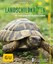 Hartmut Wilke - Landschildkröten
