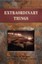 NEW Extraordinary Things by Diana M Deluca BOOK (Paperback / softback) Free P&H