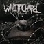 Somatic Defilement Audio CD