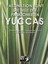 Faszination bunt - Die Welt der panaschierten Yuccas Thomas Boeuf