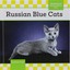 Russian Blue Cats (Checkerboard Animal Library: Cats) - Library Binding NEW Step