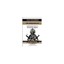 The Politics of Oligarchy: Institutional Choice in Imperial Japan J. Mark Ramsey
