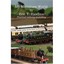 My Miniature World Rawlins, Eric T.