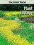 Plant Ecology (The Green World), J. Phil Gibson & Terri R. Gibson, New Book