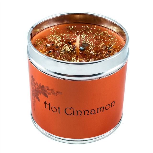 Best Kept Secrets Seriously Scented Candle Tins 50 Hour Burn Best Kept Secret Seriously Scented Hot Cinnamon Highly Fragranced Tin Candle