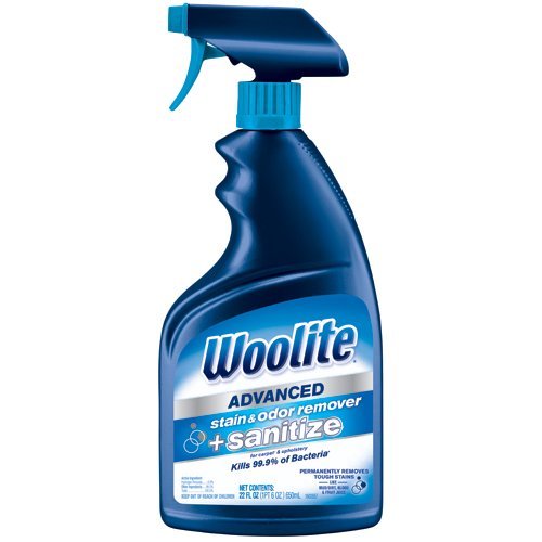Woolite Advanced Stain Odor Remover Sanitize 22floz