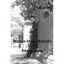 Bodies in the Barrels Case: Book 1 of Th Viktoria King