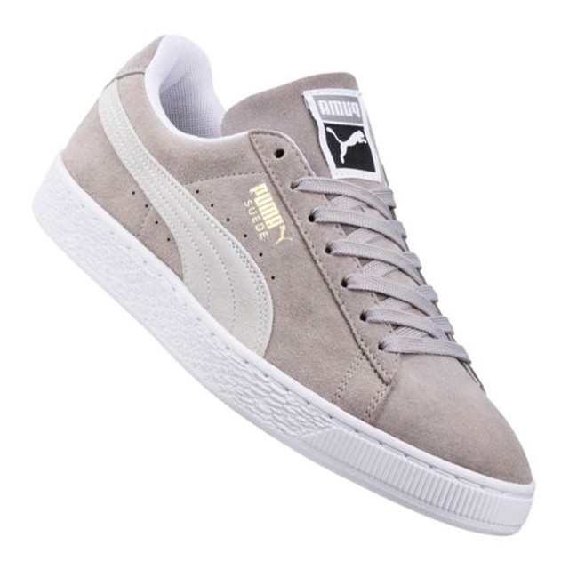 puma camoscio puma camoscio