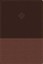 Amplified Study Bible by Zondervan (Leather / fine binding, 2017)