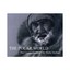 The Polar World: The Unique Vision of Sir Wally Herbert by Wally Herbert...