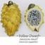 ~YELLOW DWARF~ DRAGON FRUIT Selenicereus megalanthus Pitaya USA!!seller 10 SEEDS