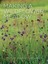 Making a Wildflower Meadow by Pam Lewis 9780711236103 (Paperback, 2015)