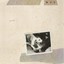 Fleetwood Mac - Tusk