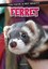 Ferret (You Have a Pet What?!) - Paperback NEW Cristie Reed (A 2015-08