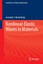 Nonlinear Elastic Waves in Materials, Jeremiah J. Rushchitsky, Buch, Book, 2014