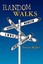 Random Walks: Pursuing the American Dream by Miller, Irwin -Paperback
