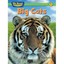 Big Cats - Hardcover NEW Bruce Johnson , 2010-06