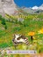 Das große kleine Buch: Schmetterlinge, Matthias Zang