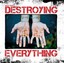 Adam, Ricky: Destroying Everything?, Taschenbuch