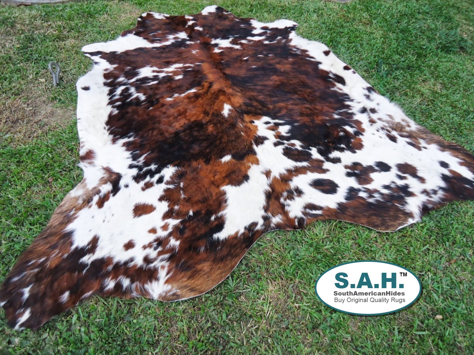 Large Cowhide Rug Tricolor Cowskin Cow Hide Leather Carpet 6x6 Feet Picture 1 Of 6