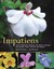 Impatiens: The Vibrant World of Busy Lizzies, Balsams, and Touch-me-nots by...