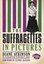 The Suffragettes In Pictures by Diane Atkinson 9780752457963 (Paperback, 2010)
