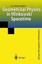 Rowe, E. G. Peter: Geometrical Physics in Minkowski Spacetime, Buch
