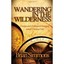 Wandering in the Wilderness: Changes and Challenges to Emerging Adult's Christia