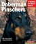 Doberman Pinschers: Everything about Purchase, Care, Nutrition, Training, and