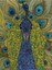 Valentina by NOTEBOOK (Paperback)