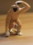 Schleich 14717 Gibbon Affe - neu mit Etikett -