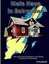 Mein Haus in Schweden, Der praxisnahe Ratgeber zum Thema Hauskauf in Schweden