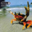 The Prodigy-The Fat of the Land CD NEU