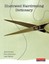 Illustrated Hairdressing Dictionary (Hair & Beauty Illustrated Dictionaries).