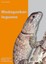 Madagaskarleguane Lebensweise, Taxonomie und Fortpflanzung Uwe Schlüter Buch