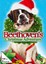 John Putch - Beethovens abenteuerliche Weihnachten, 1 DVD