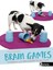 Brain Games, Claire Arrowsmith